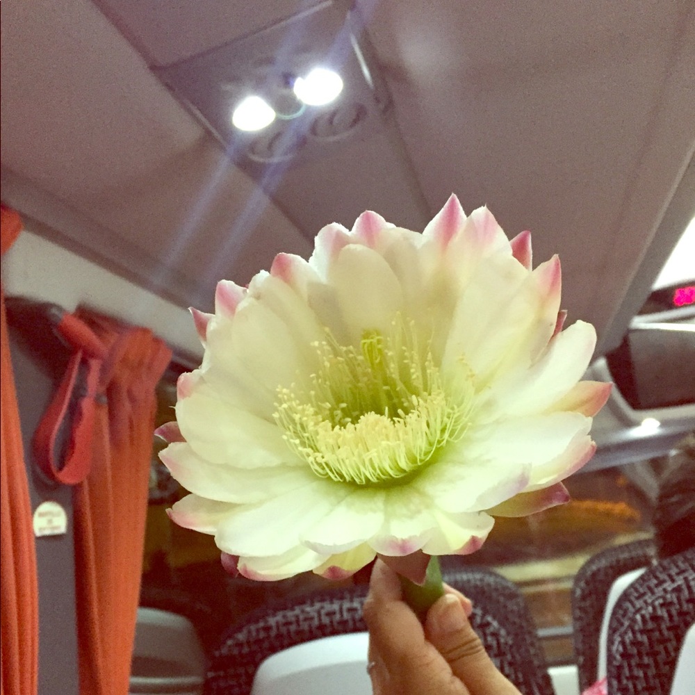 Meet your Posher, Denise